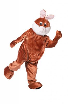 Mascotte verkleedpak paashaas