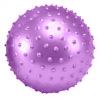 Educatieve Stekelige Bal 10-20cm Educatieve Stekelige Bal 10-20cm