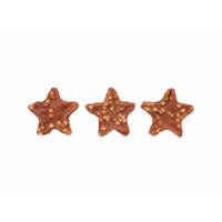 Hondensnoepjes Trixie Xmas Stars 100 g
