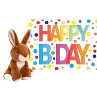 Pluche dieren knuffel konijn 12 cm met Happy Birthday wenskaart - Knuffeldier