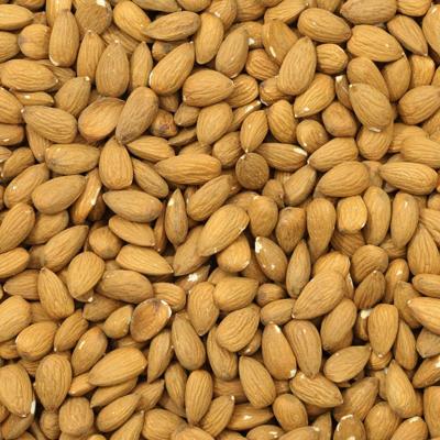 Amandelen bruin ongebrand (bio) 500 gram