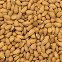 Amandelen bruin ongebrand (bio) 500 gram
