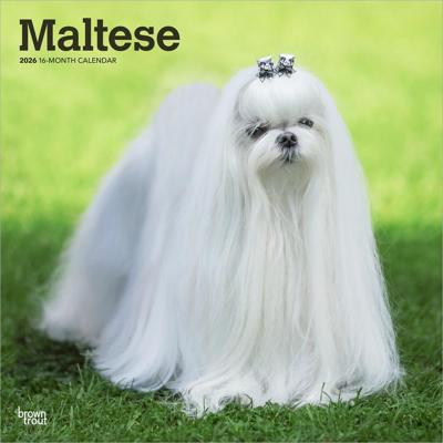 Maltezer Kalender 2026