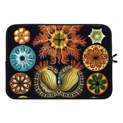 Haeckel Ascidiae: Laptop sleeve 13 inch