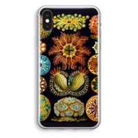 Haeckel Ascidiae: iPhone X Transparant Hoesje