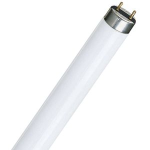 Philips TL-D Super 80 871150063201240 fluorescente lamp 36 W G13 Koel wit