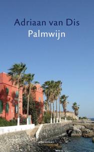Palmwijn (Paperback)