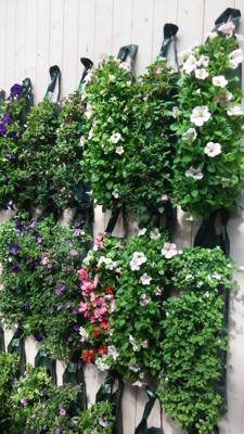 Verrassings-hangzak Warentuin Natuurlijk - Warentuin natuurlijk