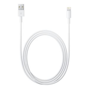 Apple origineel Lightning-naar-USB-kabel (1,00 m) MD818ZM/A - MD818ZM/A