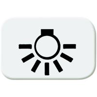 Busch-Jaeger 2525 LI-214 Symbool voor knop licht Afdekking Busch-balance SI Alpine-wit 1 stuk(s)