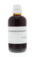 Homeoden Heel Crataegus oxyacantha phyto 100 Milliliter - thumbnail