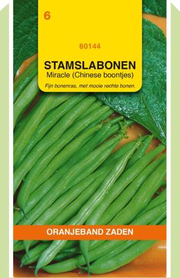 Stamslaboon