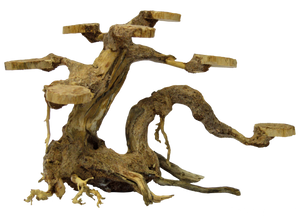 Superfish Bonsai Planter Small - Realistisch Handgemodelleerd Aquarium Decoratie voor Kleine Tanks