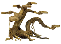 Superfish Bonsai Planter Small - Realistisch Handgemodelleerd Aquarium Decoratie voor Kleine Tanks