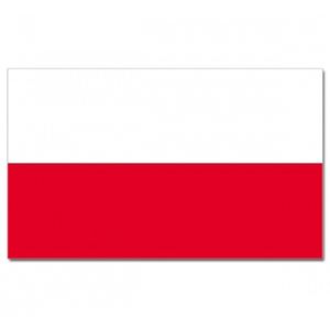 Feestartikelen Luxe vlag Polen met wapen