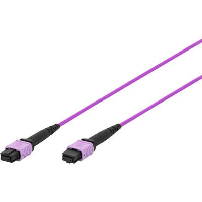 Digitus DK-2566-15/4 Glasvezel Glasvezelaansluitkabel 15 m Violet, Zwart Extreem dun, Flexibele binnenader, Glasvezelband, Koudebestendig, Met anti-kniktule,