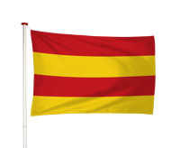 Vlag Stavoren - Starum (fr)