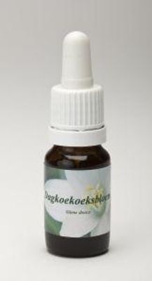 Dagkoekoeksbloem