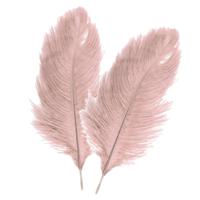 Struisvogelveren/sierveren - 2x - oud roze - 30-35 cm - decoratie/hobbymateriaal   - - thumbnail