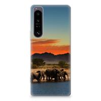 Sony Xperia 1 IV | TPU Hoesje | Olifanten