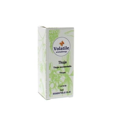 Thuja