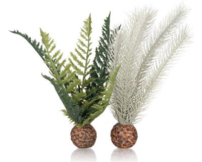 biOrb distelvaren grijs/groen S - Oase