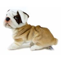 Levensechte Hansa pluche bulldog knuffel 30 cm - thumbnail