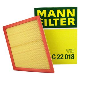Luchtfilter C22018