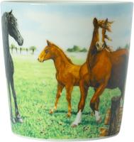 Wiebe van der Zee Minimok Paard 23 cl