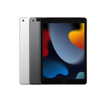 Refurbished iPad 2021 256 GB 4G Zilver  Zichtbaar gebruikt - thumbnail