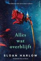 Alles wat overblijft (Paperback)