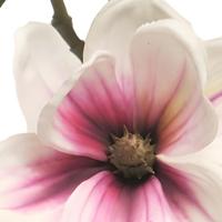 Magnolia Japanese garden white burgundy 51 cm kunstbloem Erutan Avon - Erutan avon