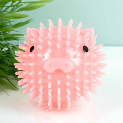 Piepbal voor hond met geur - Varken Piepbal voor hond met geur - Varken