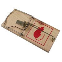 Benson Houten Muizenval - Jumbo - 170 x 80 x 5 mm - thumbnail