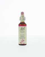 Willow/wilg 20 Milliliter