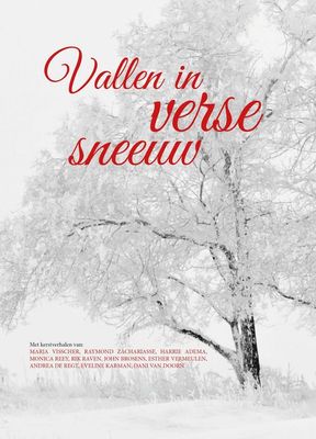 Vallen in verse sneeuw - Maria Visscher, Raymond Zachariasse, Harrie Adema, Monica Reey, John Brosens, Esther Vermeulen, Andrea de Regt, Eveline - ebook