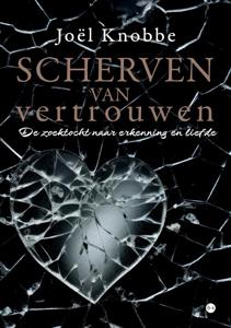 Scherven van vertrouwen (Paperback)