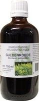 Natura Sanat Solidago virg herb / guldenroede tinctuur (100 ml) - thumbnail