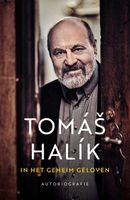 In het geheim geloven - Tomas Halik, Kees de Wildt - ebook