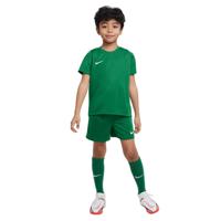 Nike DRY PARK 20 Tenue Kids Groen