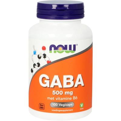 GABA 500mg 100 Vegetarische capsules
