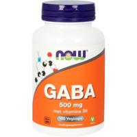GABA 500mg 100 Vegetarische capsules