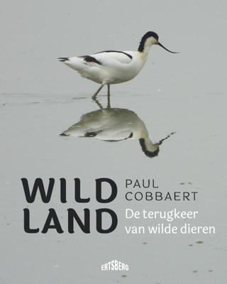 Wild land (Paperback)