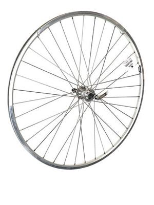 Roland achterwiel ryde chrina 28" alu-nf 7v 36g qr zilver