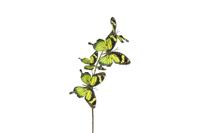Decostar kunsttak Vlinder multi 4x 76 cm groen