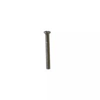 Mastertools.nl Patentbout M4 x 38mm messing vernikkeld - 797800012