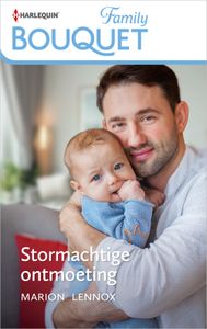 Stormachtige ontmoeting - Marion Lennox - ebook