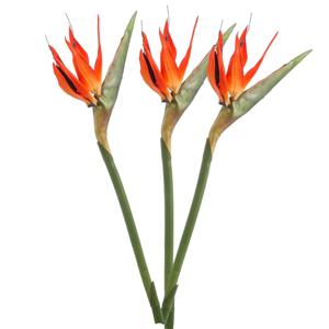 Kunstbloem Strelitzia - 3x - 85 cm - losse tak - kunst zijdebloem - Paradijsvogelplant - decoratie