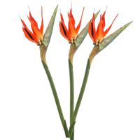 Kunstbloem Strelitzia - 3x - 85 cm - losse tak - kunst zijdebloem - Paradijsvogelplant - decoratie - thumbnail