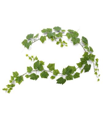 Druivenblad guirlande kunsthanger 180cm - groen